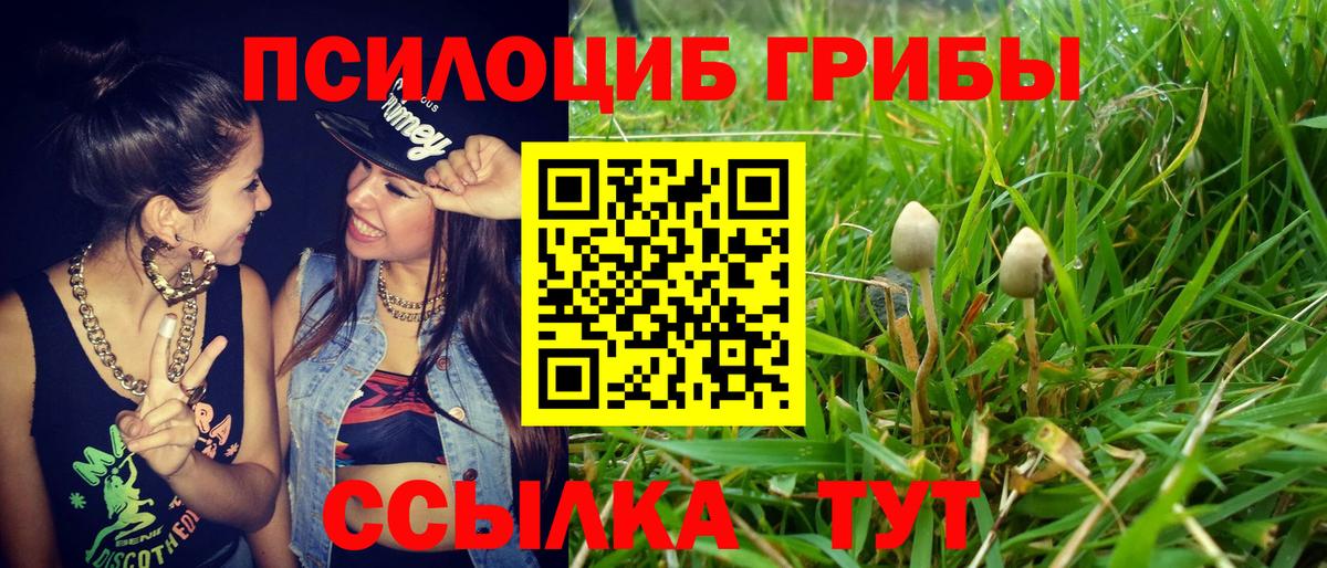 Галлюциногенные грибы мухоморы Рассказово