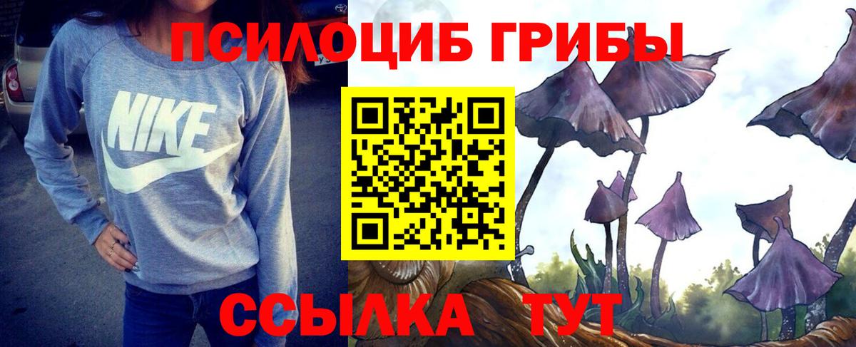 Псилоцибиновые грибы Psilocybine cubensis  Вход с VPN  Галлюциногенные грибы Cubensis  Рассказово 